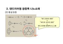 [기능재료] Dendrimer 구조물질-17