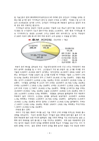 [정치커뮤니케이션] 범여권의 후보단일화 전략과 단일화 후의 대선 홍보전략-6