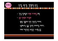 [광고론] 황금시간대 광고를 통한 마케팅 분석 -공격적, 방어적 마케팅-19