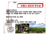 [프랑스문화] 프랑스 와인-6