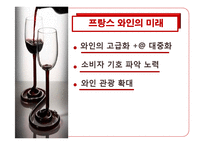[프랑스문화] 프랑스 와인-19
