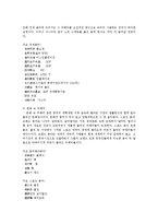 [중국어학] 중국의 외래어-5