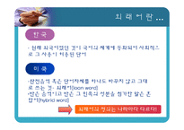 [중국어학] 중국의 외래어-4