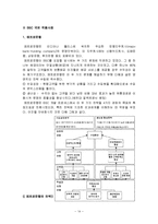 [현대관리회계](현대원가회계)BSC와 국내외적용사례-14