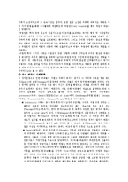 [영문학] [레포트]셰익스피어시대의 영국-2