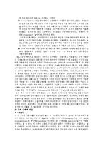 [영문학] [레포트]셰익스피어시대의 영국-3