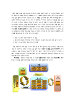 [MIS 경영정보 파세코] 경영정보-파세코-8