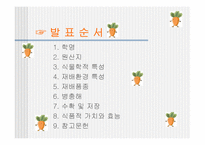 [당근, 원예작물] 당근의모든것-2