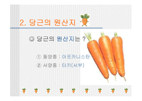 [당근, 원예작물] 당근의모든것-4