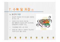 [당근, 원예작물] 당근의모든것-16