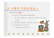 [당근, 원예작물] 당근의모든것-20