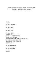 [XML] XML의 발전배경, 역사, 구성과 XML의 장단점, XML 관련 프로그램 및 향후 XML의 전망 심층 분석-1