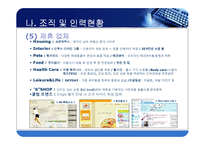 [사업계획서, 사업계획서PPT,싱글족을 위한 포털싸이트,싱글족] [사업계획서] 싱글족을 위한 포털싸이트-8