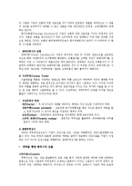 [국제경영학] 나모 인터렉티브 글로벌 시장 진출 성공 사례-5