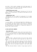[국제경영학] 나모 인터렉티브 글로벌 시장 진출 성공 사례-10