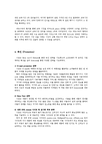 [국제경영학] 나모 인터렉티브 글로벌 시장 진출 성공 사례-16