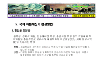 [국제재무론] 국제 자본예산-20