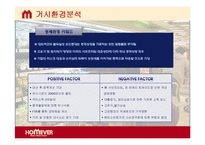 [마케팅] 홈에버 브랜드 이미지 제고를 위한 전략-4