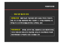 [국제재무관리] 국제자본예산-3