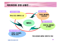 [마케팅] 에뛰드 IMC 전략(촉진전략)-10