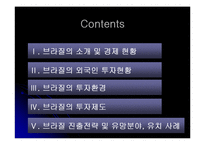 [해외투자론] 브라질 해외투자론-2