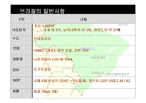[해외투자론] 브라질 해외투자론-3