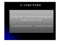 [해외투자론] 브라질 해외투자론-17