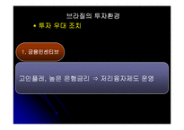 [해외투자론] 브라질 해외투자론-20
