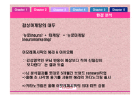 [마케팅] 에뛰드 ETUDE HOUSE 마케팅 전략-6
