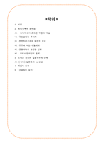 재벌개혁의 문제점-2
