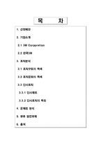[경영조직론] 3M 기업사례 분석, 조직분석-2