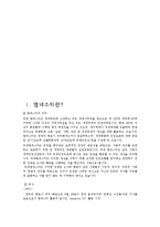 [NGO] 국제 엠네스티 한국 지부-3