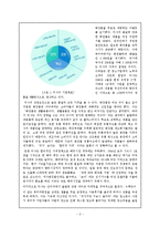 저가화장품업체의 성공과 발전방향(미샤를 중심으로)-4