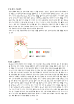 [국제경영학] 혼다의 국제화 전략-15