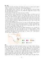 [국제경영학] 혼다의 국제화 전략-17
