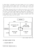 [경영정보, 이비즈니스] E-Business와 eCRM의 이해-6