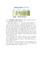 [물리화학] 초임계유체-3