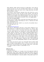 [정보검색] 이용자 요구에 따른 정보검색에 있어서의 인터넷 검색 엔진의 성능(정확률) 평가-5