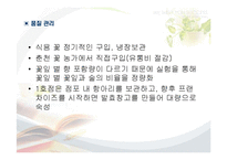 [사업계획서] 여성층을 타겟으로 한 꽃잎 호프-16