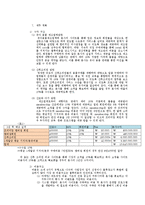 [사업계획서] 산후조리원 사이트-13
