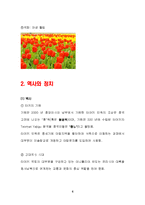 [이문화] 터키 분석-4