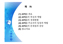 APEC(아시아 태평양 경제 협력체)-2