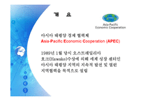 APEC(아시아 태평양 경제 협력체)-3