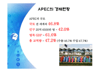 APEC(아시아 태평양 경제 협력체)-12
