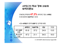 APEC(아시아 태평양 경제 협력체)-13