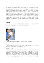 [미국드라마문화] 두 편의 미국 드라마가 한국에 끼친 영향 -CSI과학수사대, SEX AND THE CITY-6
