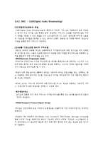 [매스컴, 인터넷비즈니스] NPR, BBC, iMBC 디지털 라디오-7