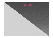 [sf문학] SF 애니메이션 공각기동대-2
