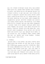 초신성 -별의 일생-5