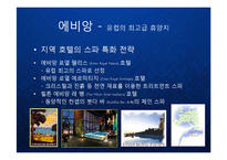 [마케팅] 명품생수의 블루오션을 개척한 프랑스 에비앙(evian)의 프리미엄 브랜드 마케팅 케이스 연구 발표 PPT-5